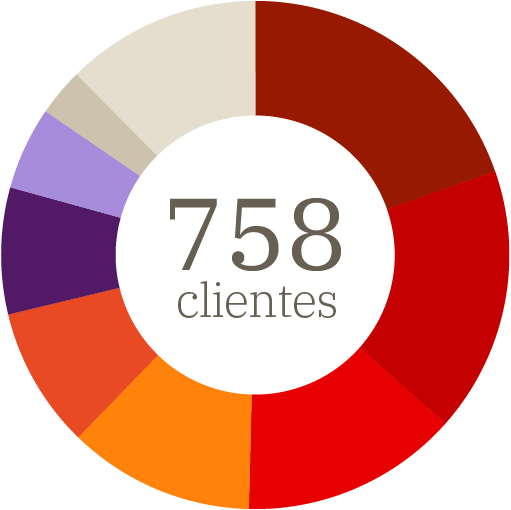 Gráfico mostrando os segmentos de atuação dos mais de 700 clientes da RTM