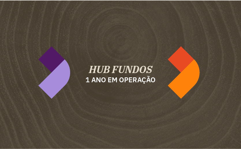 Imagem para a matéria sobre um ano do Hub Fundos