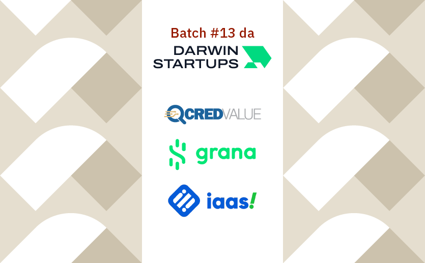 batch-13-darwin-startups